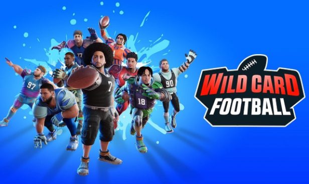 wild-card-football-pc-game-cover